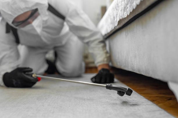 Professional Termite Control technician working in Lawrence, IN