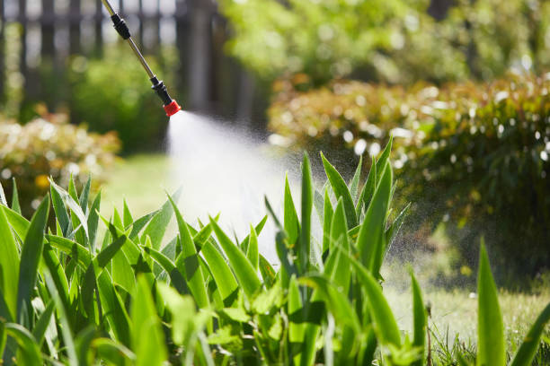 24/7 Emergency Termite Control experts in Lawrence, IN