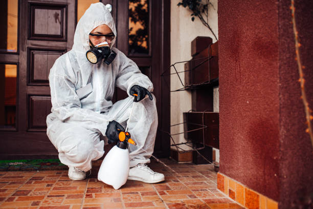 Reliable Termite Control contractor in Lawrence, IN by Nex Pest Control