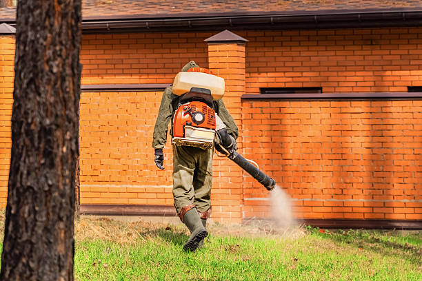 Top rated local Termite Control specialists in Lawrence, IN